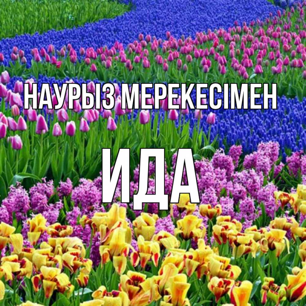 Күн сайын ашық хат с именем, Ида Наурыз мерекесімен цветы Онлайн тегін жүктеп алу тілектері бар керемет карта 