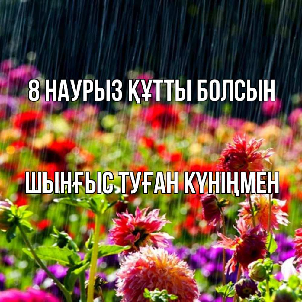 Картинка 8 наурыз құтты болсын, ШЫНҒЫС! ТУҒАН КҮНІҢМЕН!