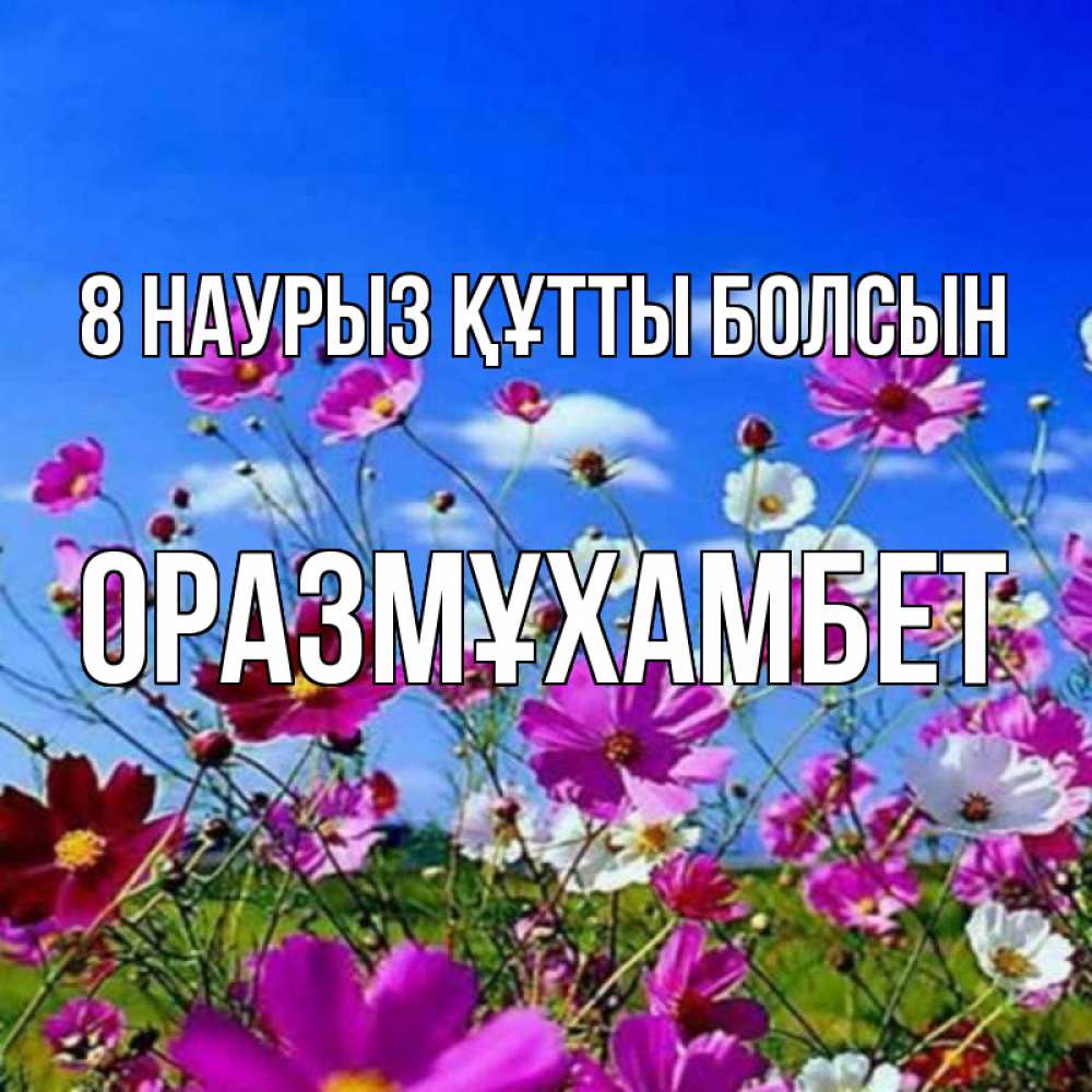 Күн сайын ашық хат с именем, ОРАЗМҰХАМБЕТ 8 наурыз құтты болсын цветы Онлайн тегін жүктеп алу тілектері бар керемет карта 