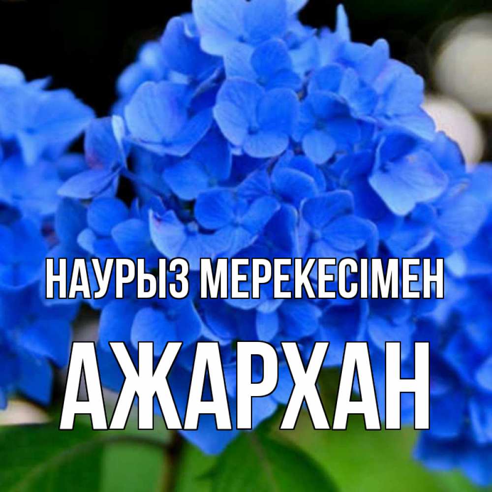 Күн сайын ашық хат с именем, АЖАРХАН Наурыз мерекесімен синие цветы Онлайн тегін жүктеп алу тілектері бар керемет карта 