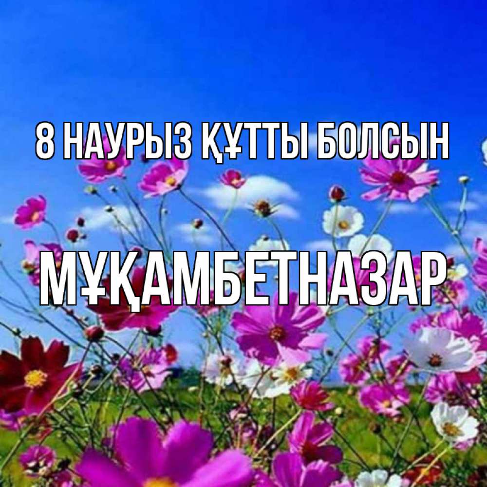 Күн сайын ашық хат с именем, Мұқамбетназар 8 наурыз құтты болсын цветы Онлайн тегін жүктеп алу тілектері бар керемет карта 