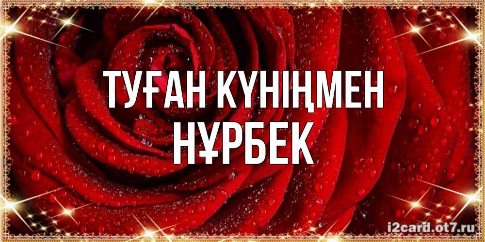 Күн сайын ашық хат с именем, НҰРБЕК Туған күніңмен роса на розе блестящая в лучах солнца Онлайн тегін жүктеп алу тілектері бар керемет карта 