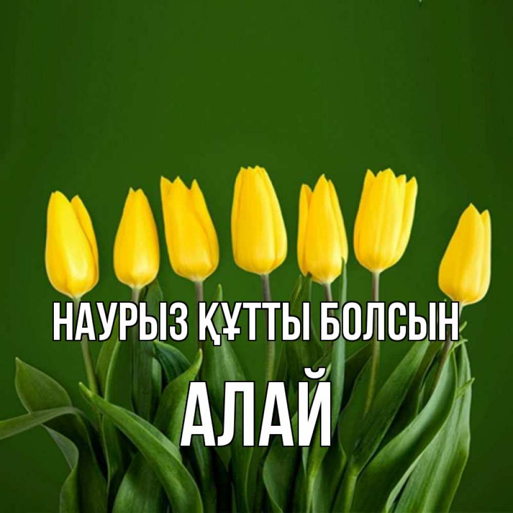 Күн сайын ашық хат с именем, Алай Наурыз құтты болсын желтого цвета 3 Онлайн тегін жүктеп алу тілектері бар керемет карта 