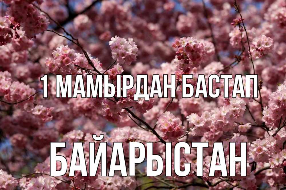 Күн сайын ашық хат с именем, Байарыстан 1 мамырдан бастап С 1 мая Онлайн тегін жүктеп алу тілектері бар керемет карта 