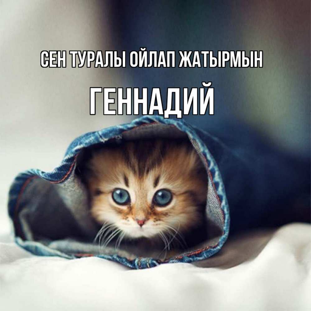 Күн сайын ашық хат с именем, Геннадий Сен туралы ойлап жатырмын мне без тебя плохо Онлайн тегін жүктеп алу тілектері бар керемет карта 