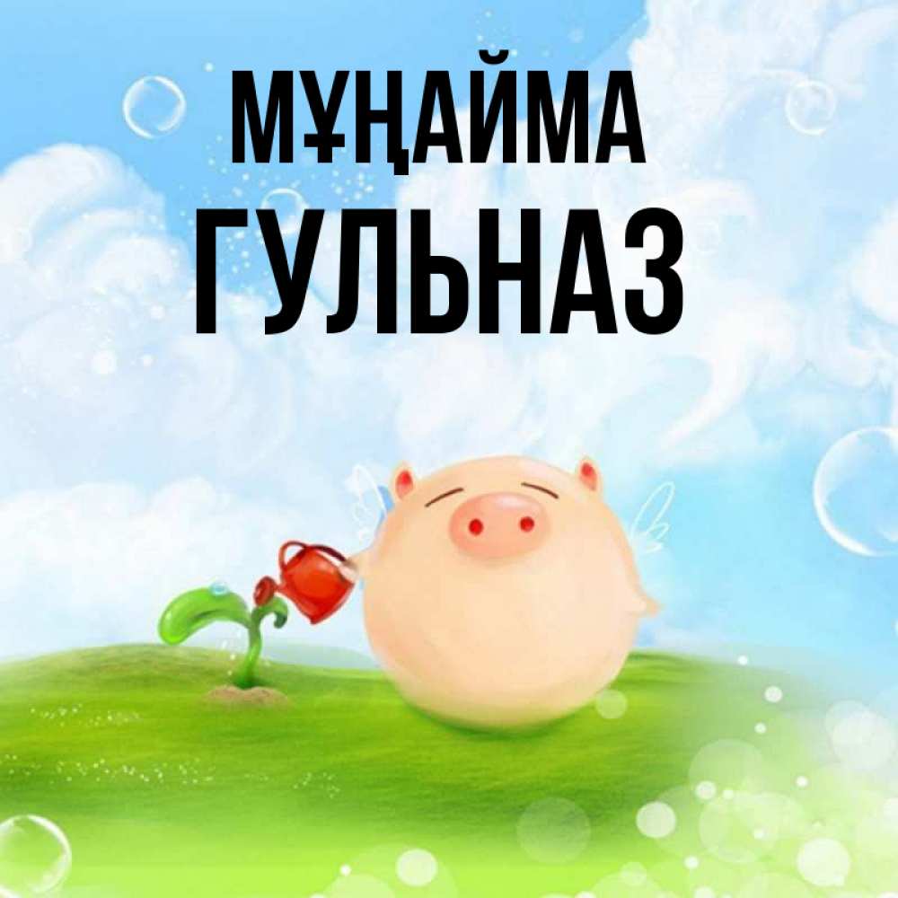 Күн сайын ашық хат с именем, Гульназ Мұңайма поливает цветок порося Онлайн тегін жүктеп алу тілектері бар керемет карта 