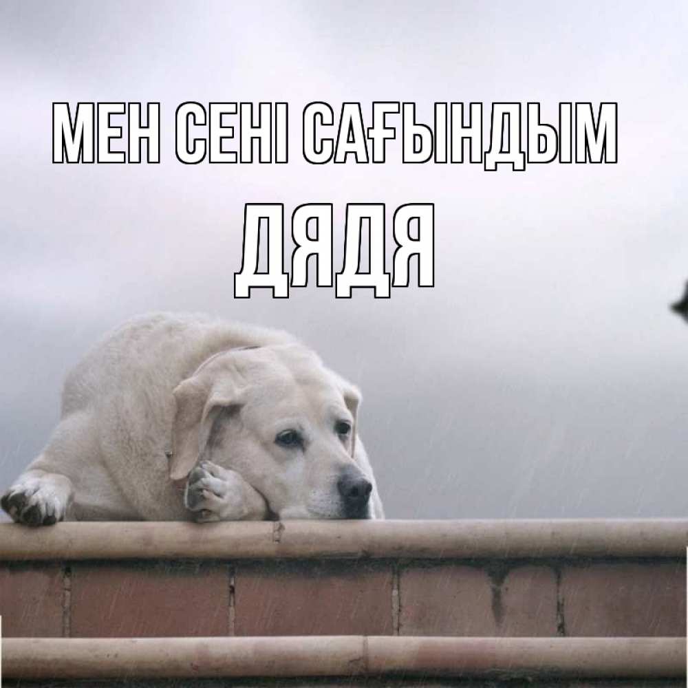 Күн сайын ашық хат с именем, Дядя Мен сені сағындым ждет Онлайн тегін жүктеп алу тілектері бар керемет карта 