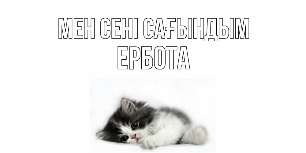 Күн сайын ашық хат с именем, Ербота Мен сені сағындым кот, скука Онлайн тегін жүктеп алу тілектері бар керемет карта 