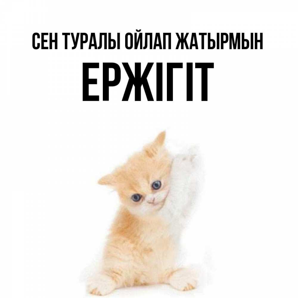 Күн сайын ашық хат с именем, Ержігіт Сен туралы ойлап жатырмын зверушки и милота Онлайн тегін жүктеп алу тілектері бар керемет карта 
