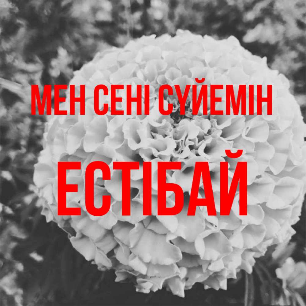 Күн сайын ашық хат с именем, Естібай Мен сені сүйемін подпись Онлайн тегін жүктеп алу тілектері бар керемет карта 