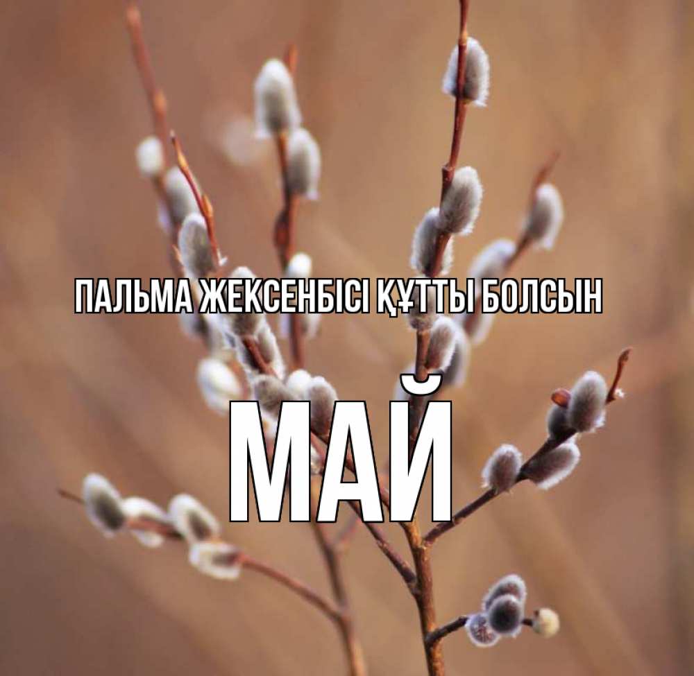 Күн сайын ашық хат с именем, Май Пальма жексенбісі құтты болсын верба Онлайн тегін жүктеп алу тілектері бар керемет карта 