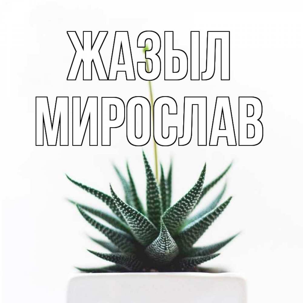Күн сайын ашық хат с именем, Мирослав Жазыл короче это непонятная колючка Онлайн тегін жүктеп алу тілектері бар керемет карта 