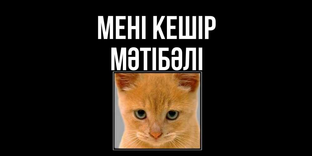 Күн сайын ашық хат с именем, МӘТІБӘЛІ Мені кешір рыжий грустный кот просит прощения Онлайн тегін жүктеп алу тілектері бар керемет карта 