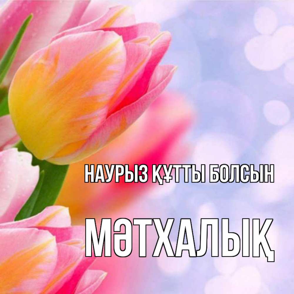 Күн сайын ашық хат с именем, МӘТХАЛЫҚ Наурыз құтты болсын тюльпаны 2 Онлайн тегін жүктеп алу тілектері бар керемет карта 