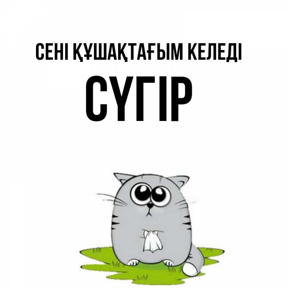 Күн сайын ашық хат с именем, СҮГІР сені құшақтағым келеді котик теребит платочек сидя на травке Онлайн тегін жүктеп алу тілектері бар керемет карта 