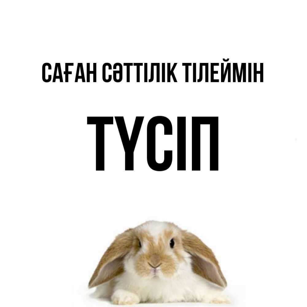 Күн сайын ашық хат с именем, ТҮСІП Саған сәттілік тілеймін открытки с произвольным текстом который можно вставить в открытку и создать ее самостоятельно бесплатно онлайн Онлайн тегін жүктеп алу тілектері бар керемет карта 