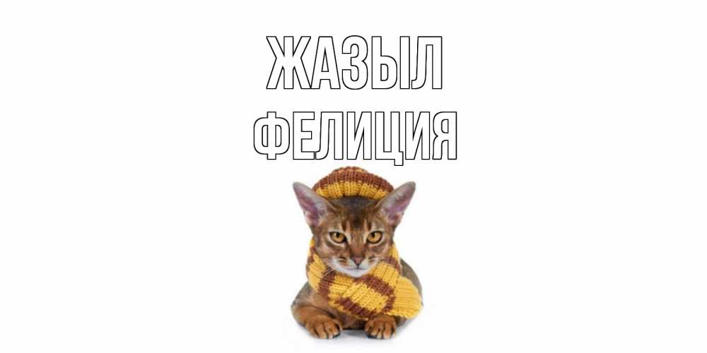 Күн сайын ашық хат с именем, Фелиция Жазыл родные не болейте Онлайн тегін жүктеп алу тілектері бар керемет карта 