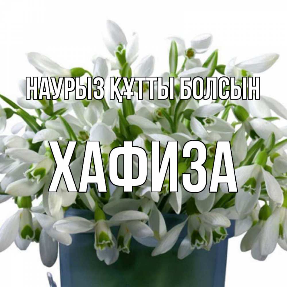 Күн сайын ашық хат с именем, ХАФИЗА Наурыз құтты болсын цветы к наурызу Онлайн тегін жүктеп алу тілектері бар керемет карта 