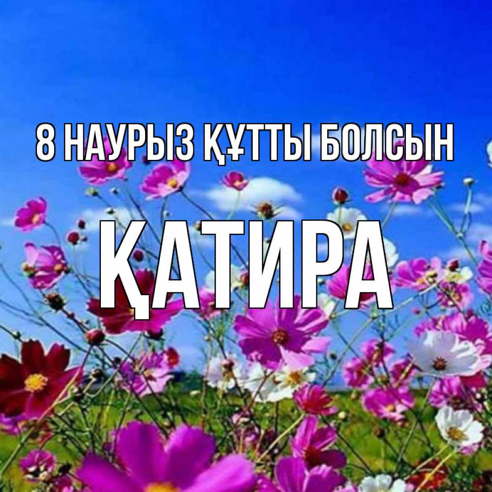 Күн сайын ашық хат с именем, ҚАТИРА 8 наурыз құтты болсын цветы Онлайн тегін жүктеп алу тілектері бар керемет карта 