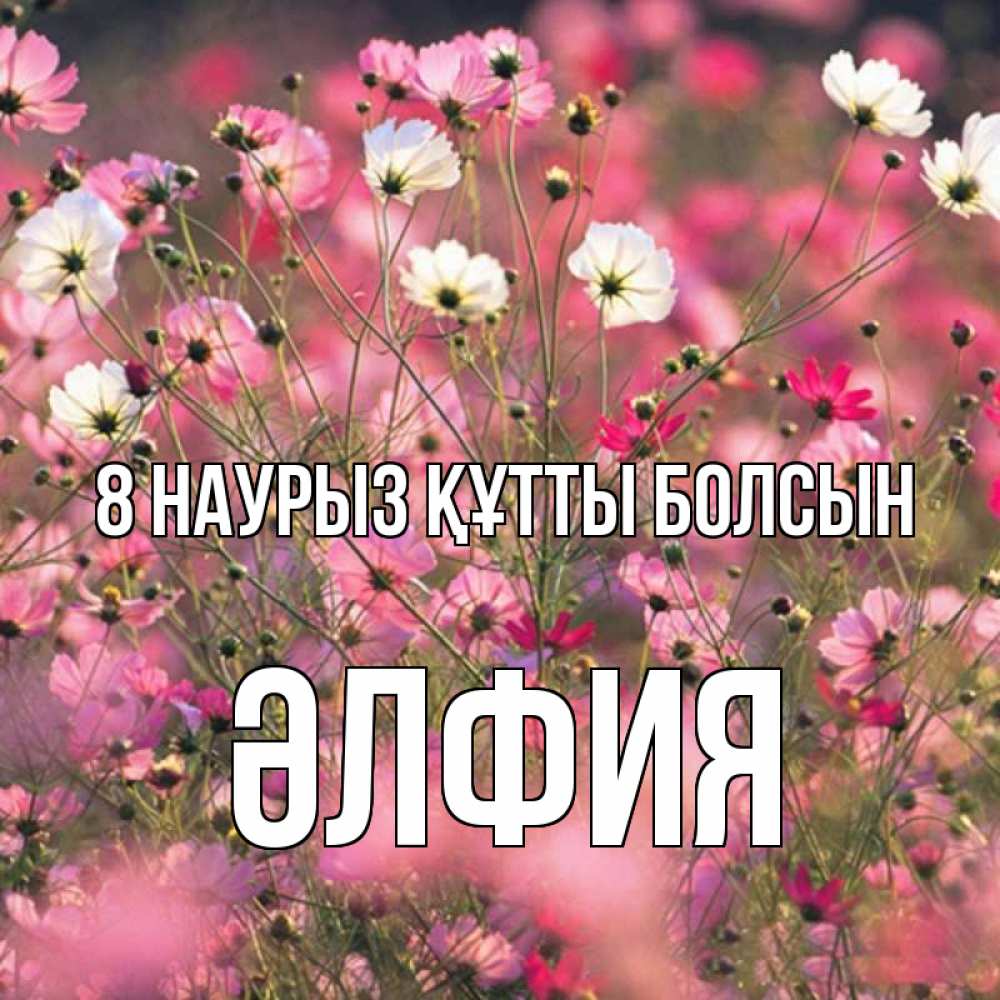 Күн сайын ашық хат с именем, ӘЛФИЯ 8 наурыз құтты болсын красиво 1 Онлайн тегін жүктеп алу тілектері бар керемет карта 
