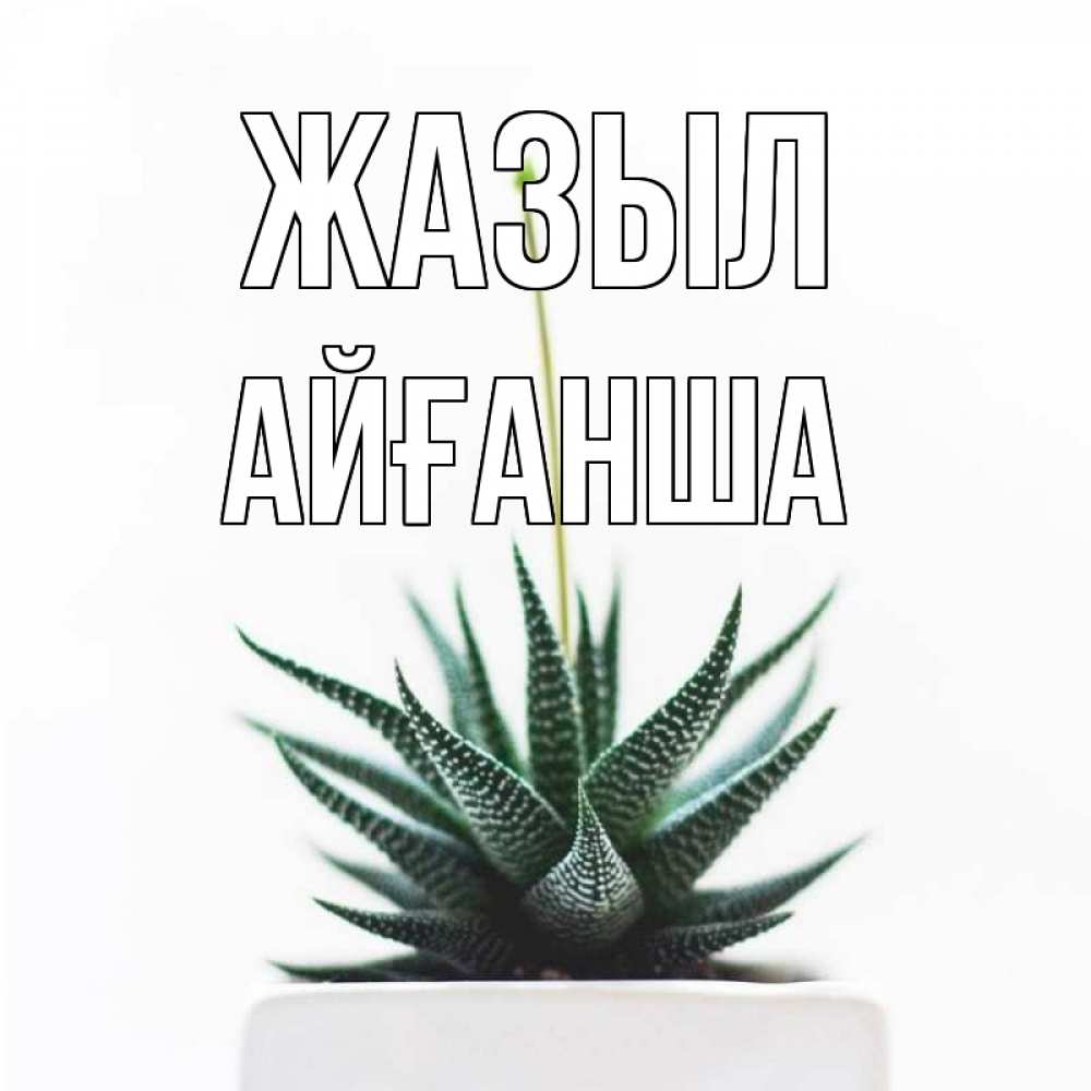 Күн сайын ашық хат с именем, АЙҒАНША Жазыл короче это непонятная колючка Онлайн тегін жүктеп алу тілектері бар керемет карта 