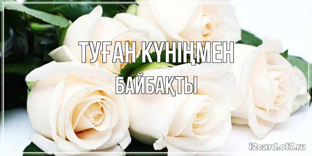 Күн сайын ашық хат с именем, Байбақты Туған күніңмен открытка с красивыми белыми розами для родных Онлайн тегін жүктеп алу тілектері бар керемет карта 
