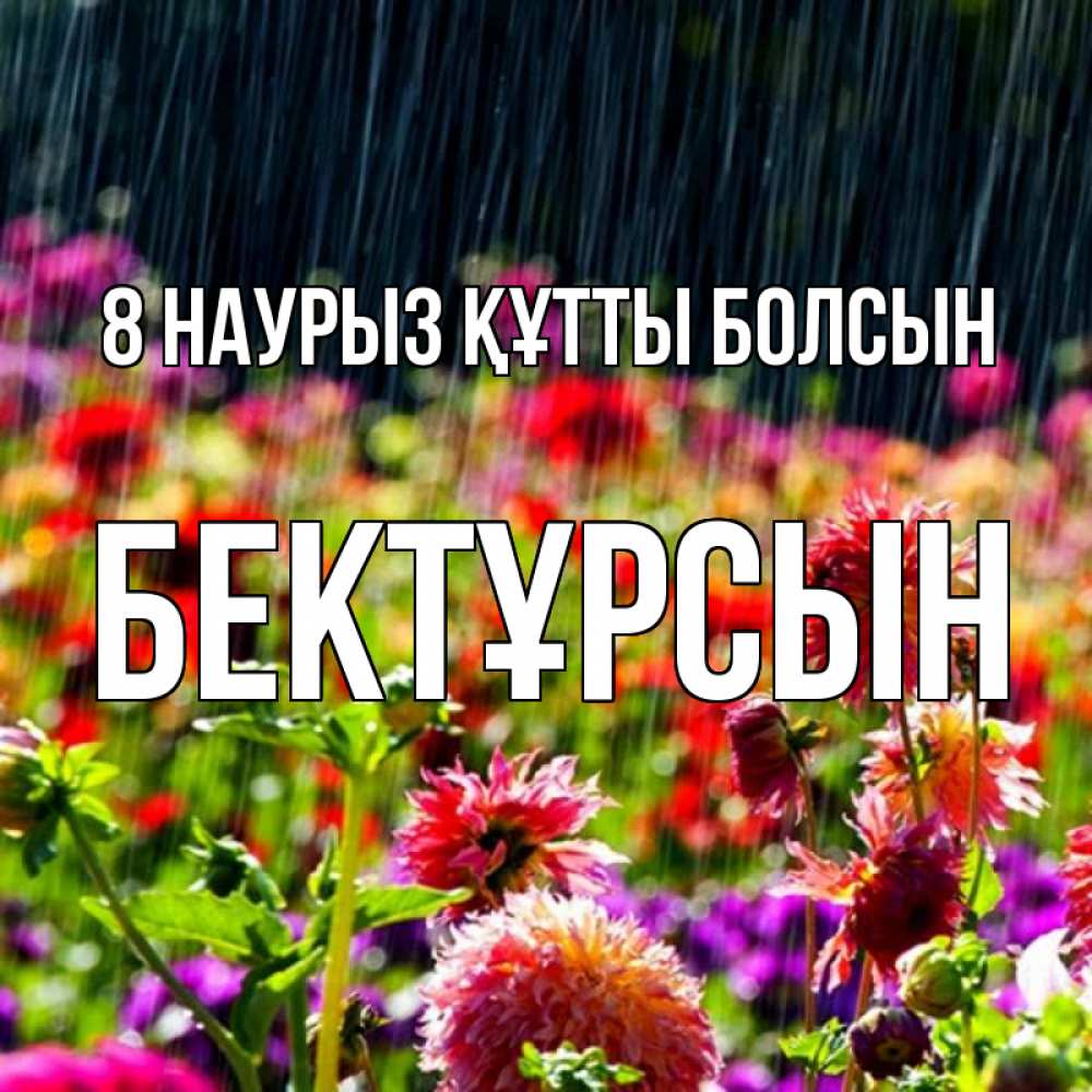 Күн сайын ашық хат с именем, Бектұрсын 8 наурыз құтты болсын цветы под дождиком к международному женскому дню Онлайн тегін жүктеп алу тілектері бар керемет карта 