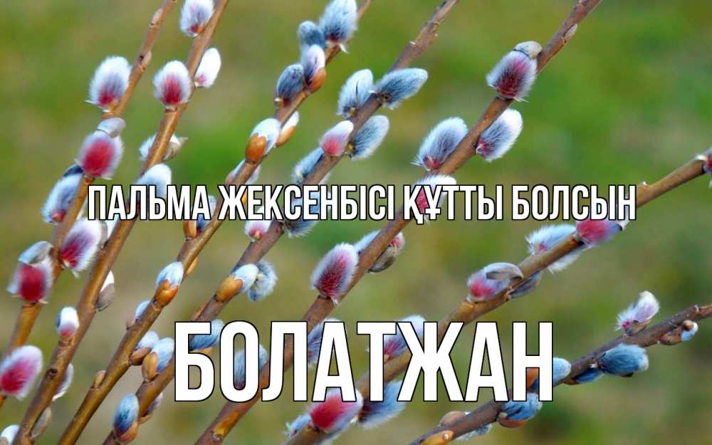Күн сайын ашық хат с именем, Болатжан Пальма жексенбісі құтты болсын верба Онлайн тегін жүктеп алу тілектері бар керемет карта 