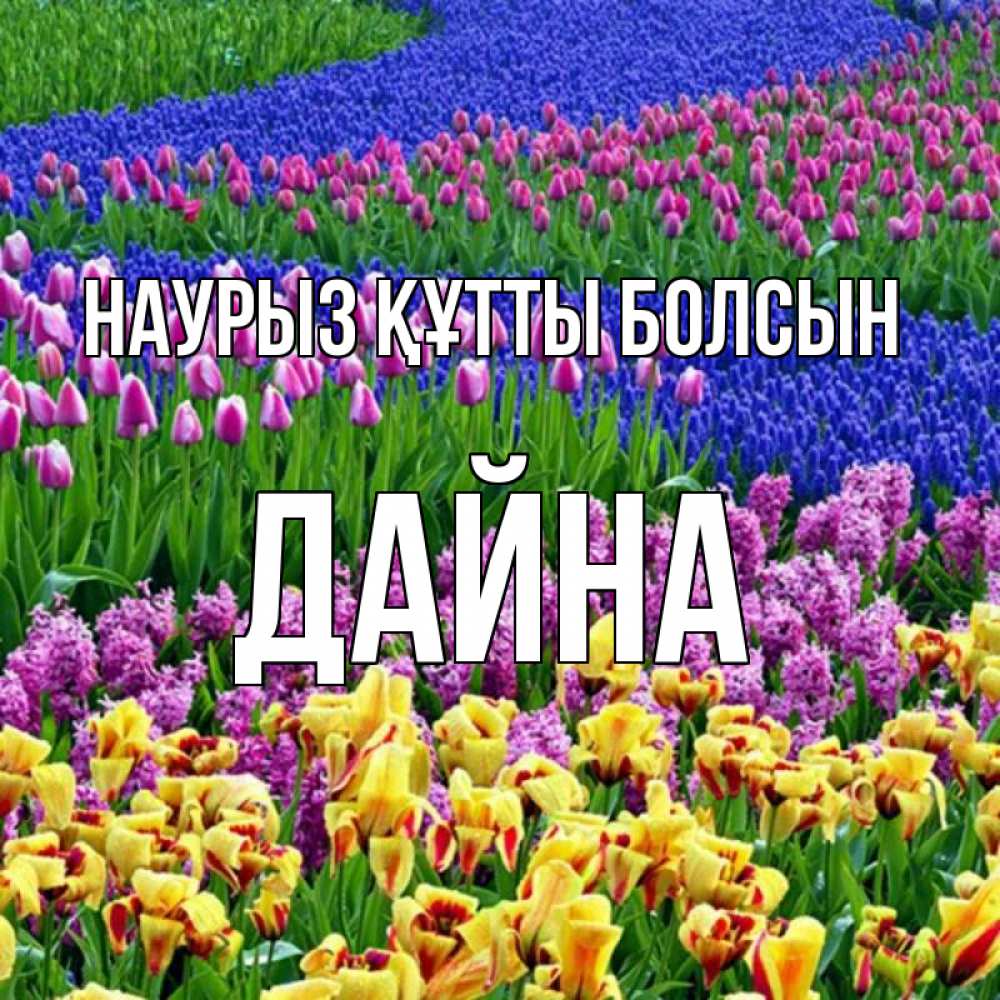 Күн сайын ашық хат с именем, Дайна Наурыз құтты болсын цветы Онлайн тегін жүктеп алу тілектері бар керемет карта 
