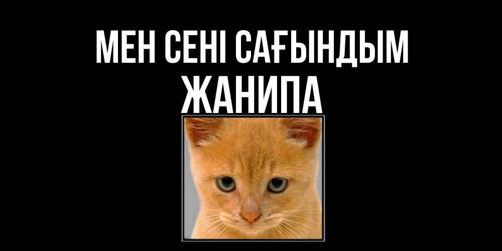 Күн сайын ашық хат с именем, ЖАНИПА Мен сені сағындым открытки рыжий котенок скучает по тебе Онлайн тегін жүктеп алу тілектері бар керемет карта 