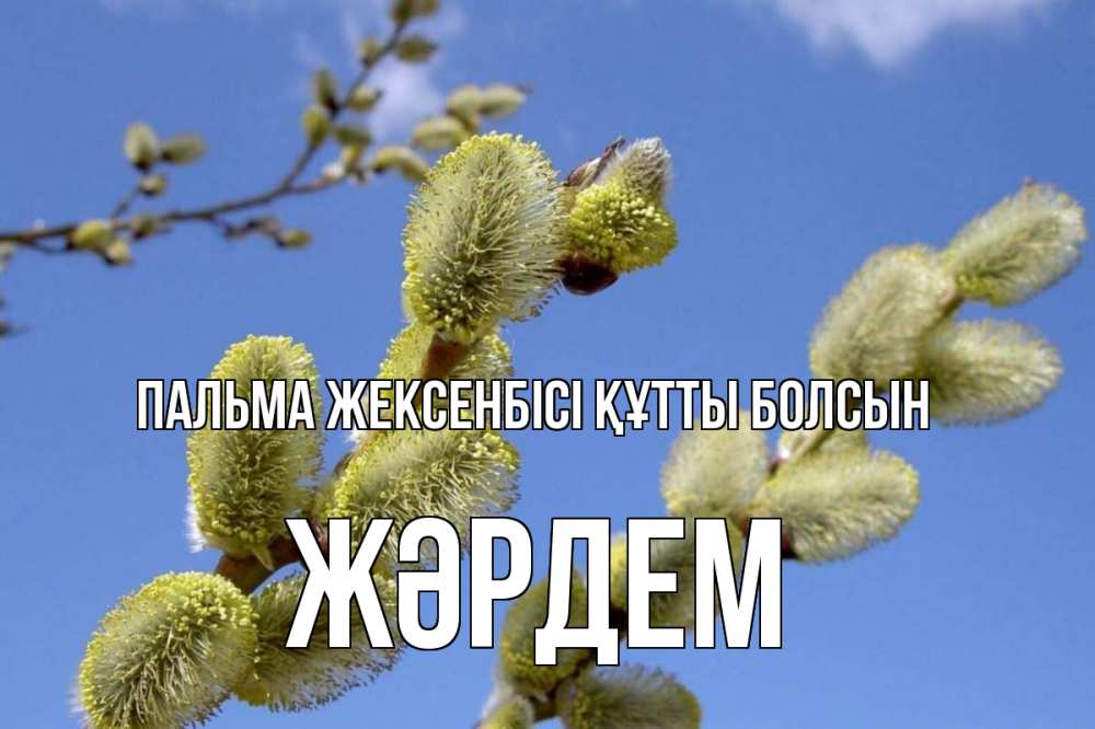 Күн сайын ашық хат с именем, Жәрдем Пальма жексенбісі құтты болсын верба Онлайн тегін жүктеп алу тілектері бар керемет карта 