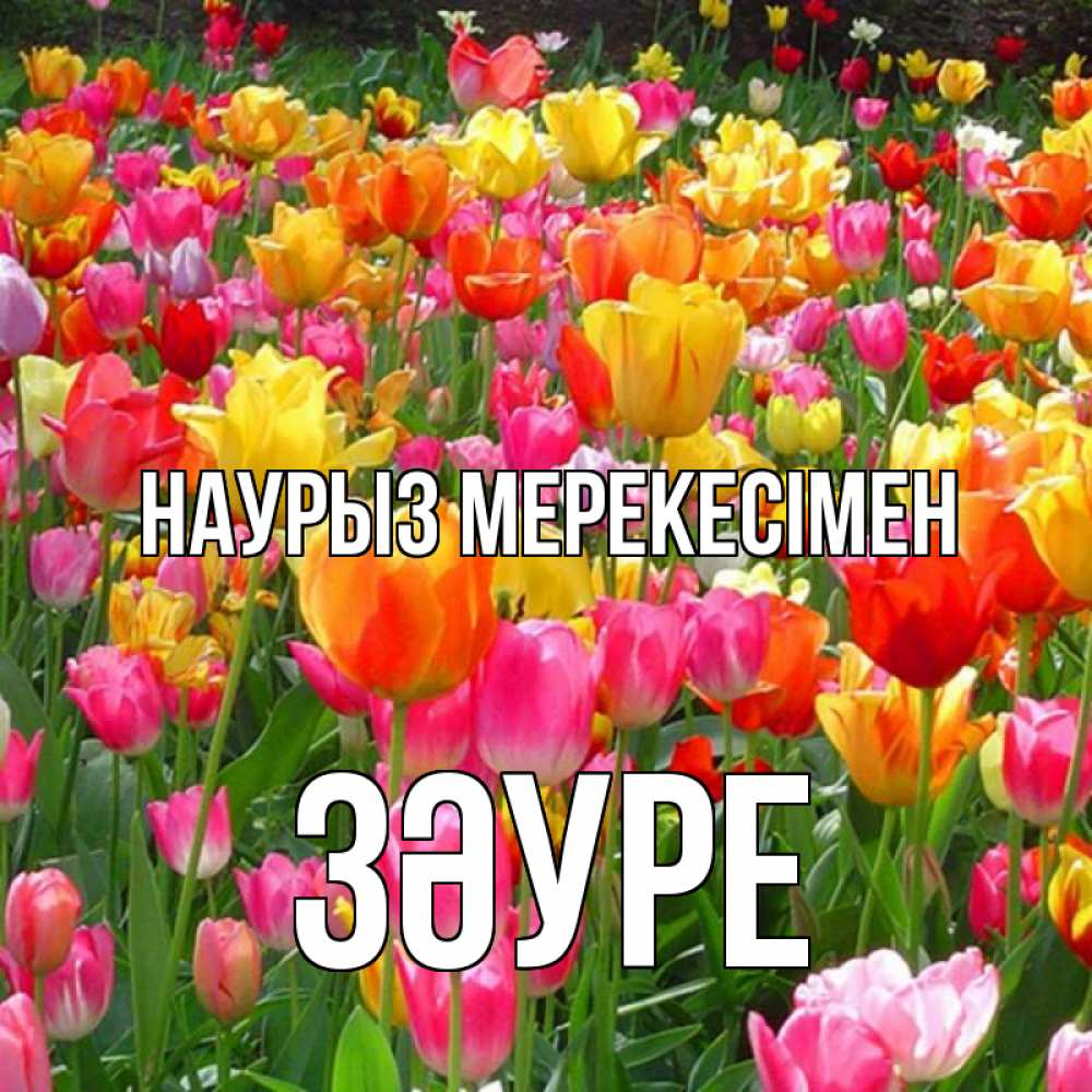 Күн сайын ашық хат с именем, ЗӘУРЕ Наурыз мерекесімен праздник весны наурыз 4 Онлайн тегін жүктеп алу тілектері бар керемет карта 