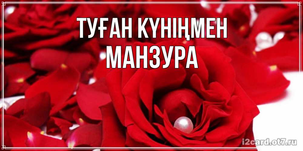Күн сайын ашық хат с именем, МАНЗУРА Туған күніңмен роза с жемчужиной на открытке для любимых Онлайн тегін жүктеп алу тілектері бар керемет карта 