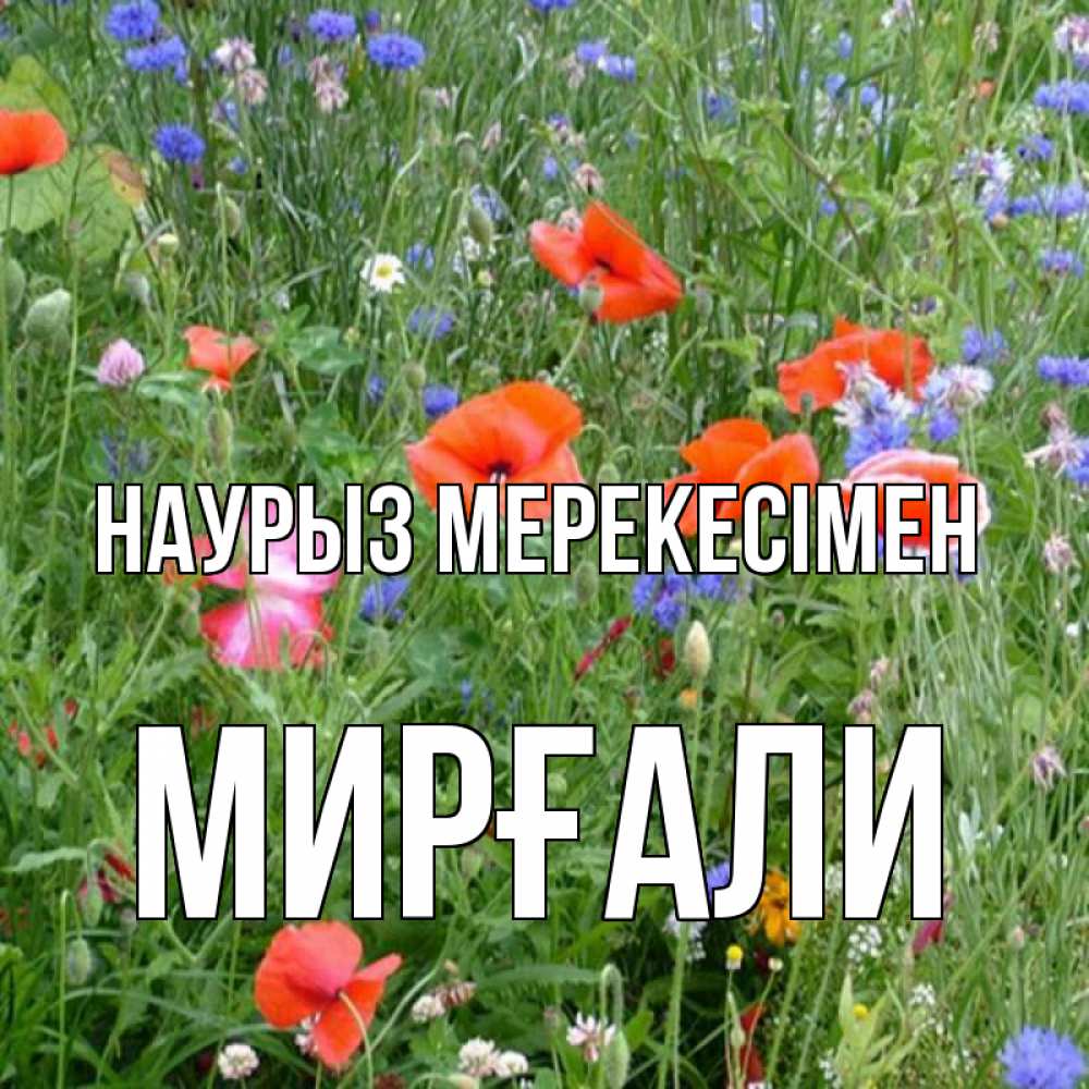 Күн сайын ашық хат с именем, МИРҒАЛИ Наурыз мерекесімен праздник весны наурыз супер открытка Онлайн тегін жүктеп алу тілектері бар керемет карта 