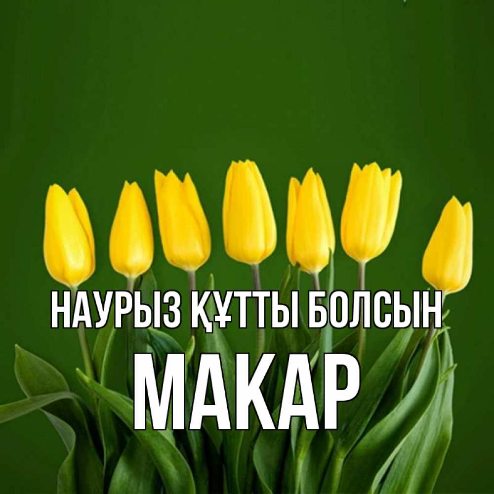 Күн сайын ашық хат с именем, Макар Наурыз құтты болсын желтого цвета 3 Онлайн тегін жүктеп алу тілектері бар керемет карта 