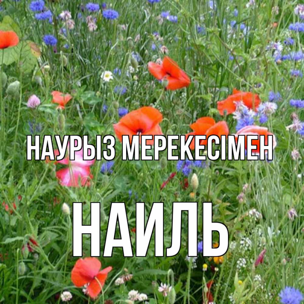 Күн сайын ашық хат с именем, Наиль Наурыз мерекесімен праздник весны наурыз супер открытка Онлайн тегін жүктеп алу тілектері бар керемет карта 