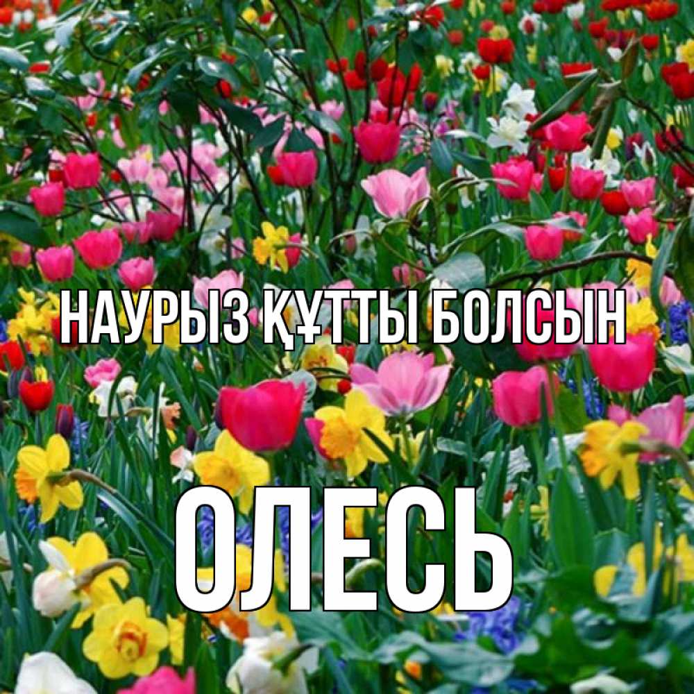 Күн сайын ашық хат с именем, Олесь Наурыз құтты болсын с наурызом поздравления для женщины Онлайн тегін жүктеп алу тілектері бар керемет карта 