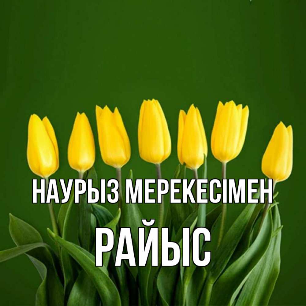 Күн сайын ашық хат с именем, РАЙЫС Наурыз мерекесімен желтого цвета 3 Онлайн тегін жүктеп алу тілектері бар керемет карта 