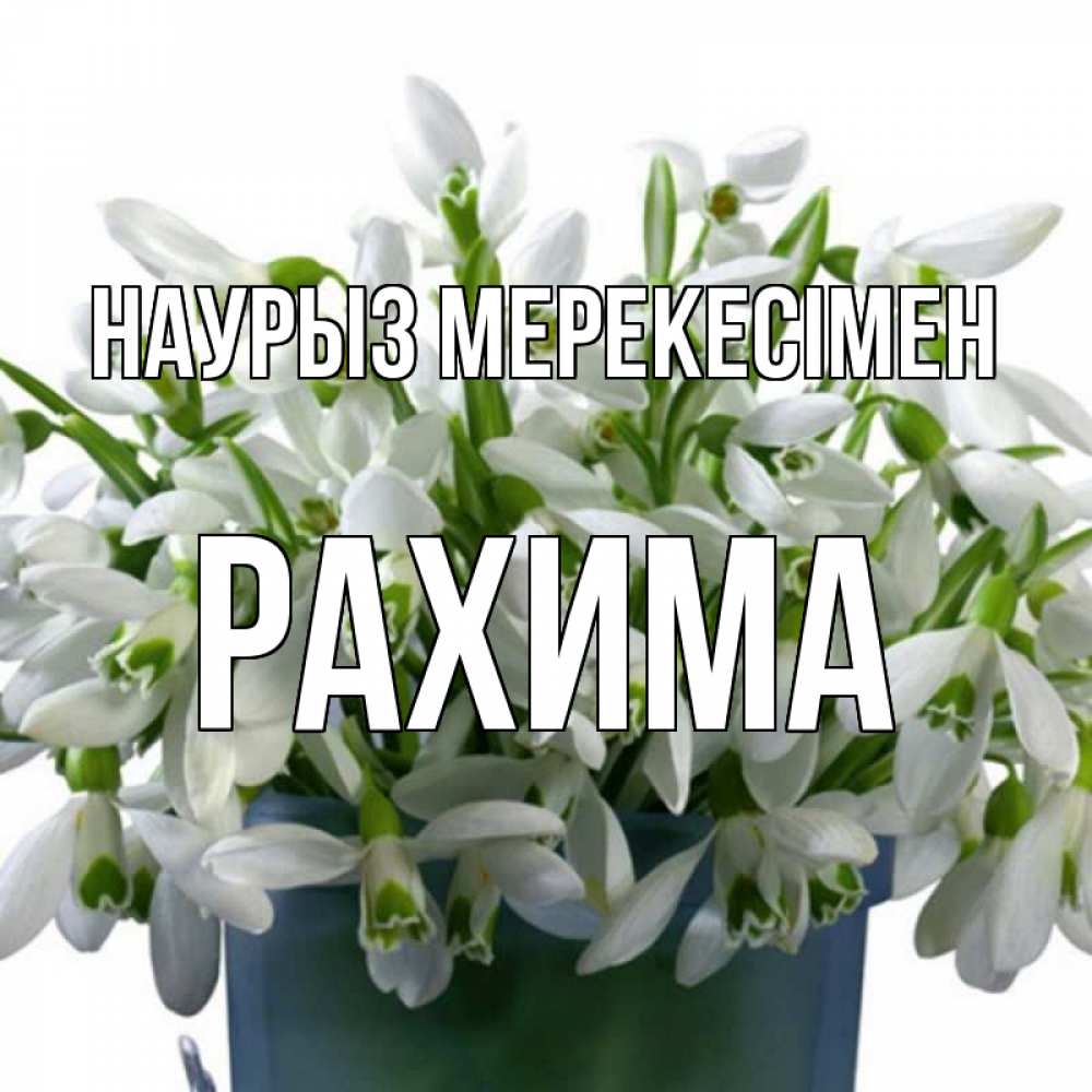 Күн сайын ашық хат с именем, РАХИМА Наурыз мерекесімен цветы к наурызу новый год в Казахстане Онлайн тегін жүктеп алу тілектері бар керемет карта 