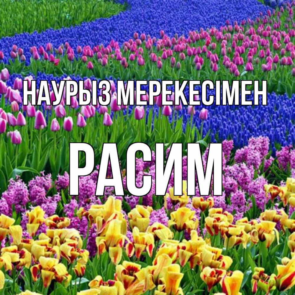 Күн сайын ашық хат с именем, Расим Наурыз мерекесімен цветы Онлайн тегін жүктеп алу тілектері бар керемет карта 