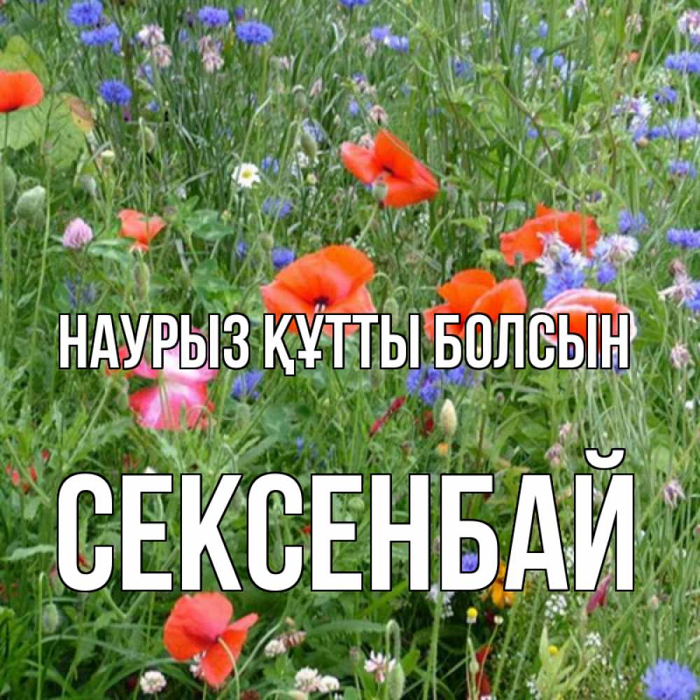 Күн сайын ашық хат с именем, СЕКСЕНБАЙ Наурыз құтты болсын наурыз  4 Онлайн тегін жүктеп алу тілектері бар керемет карта 