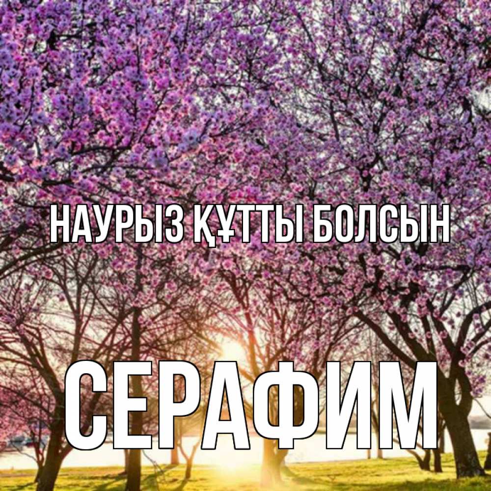 Күн сайын ашық хат с именем, Серафим Наурыз құтты болсын наурыз Онлайн тегін жүктеп алу тілектері бар керемет карта 