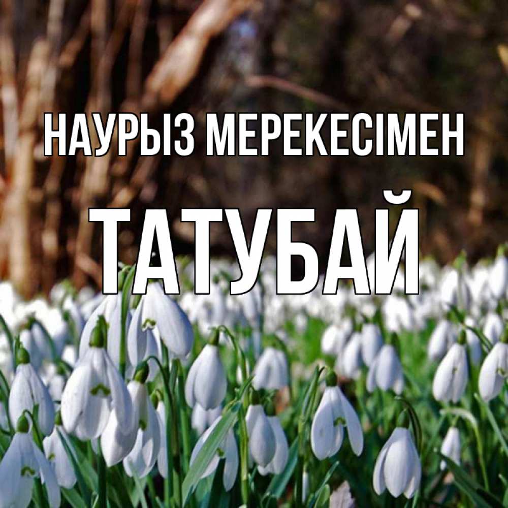 Күн сайын ашық хат с именем, ТАТУБАЙ Наурыз мерекесімен с подснежниками 1 Онлайн тегін жүктеп алу тілектері бар керемет карта 