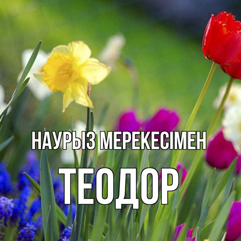 Күн сайын ашық хат с именем, Теодор Наурыз мерекесімен праздник весны наурыз 3 Онлайн тегін жүктеп алу тілектері бар керемет карта 