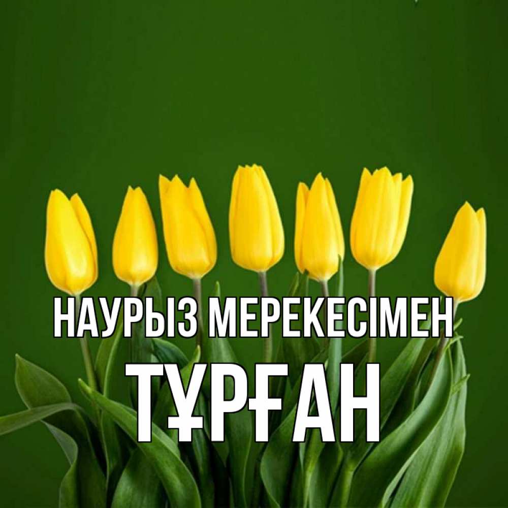 Күн сайын ашық хат с именем, ТҰРҒАН Наурыз мерекесімен желтого цвета 3 Онлайн тегін жүктеп алу тілектері бар керемет карта 