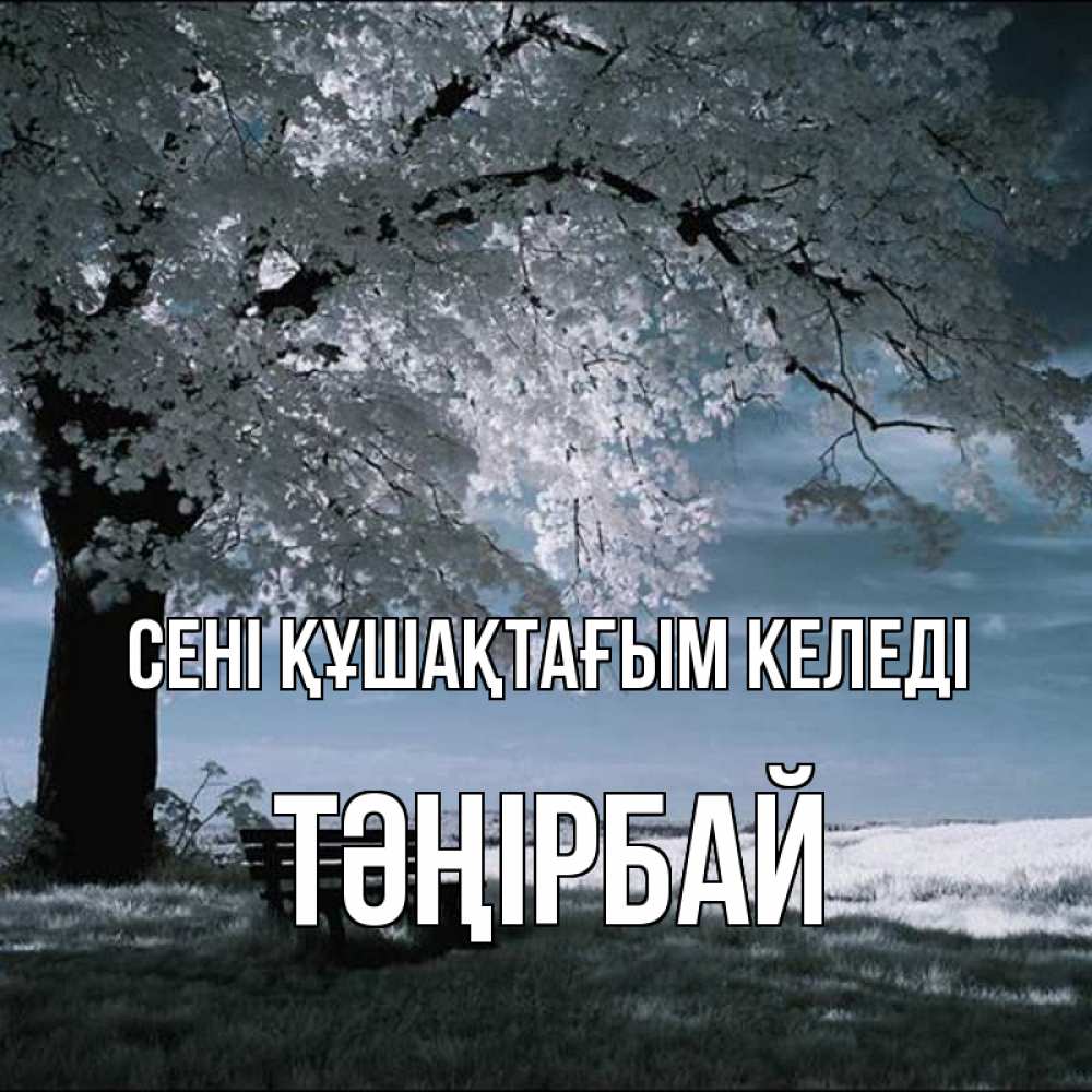 Күн сайын ашық хат с именем, ТӘҢІРБАЙ сені құшақтағым келеді дерево Онлайн тегін жүктеп алу тілектері бар керемет карта 