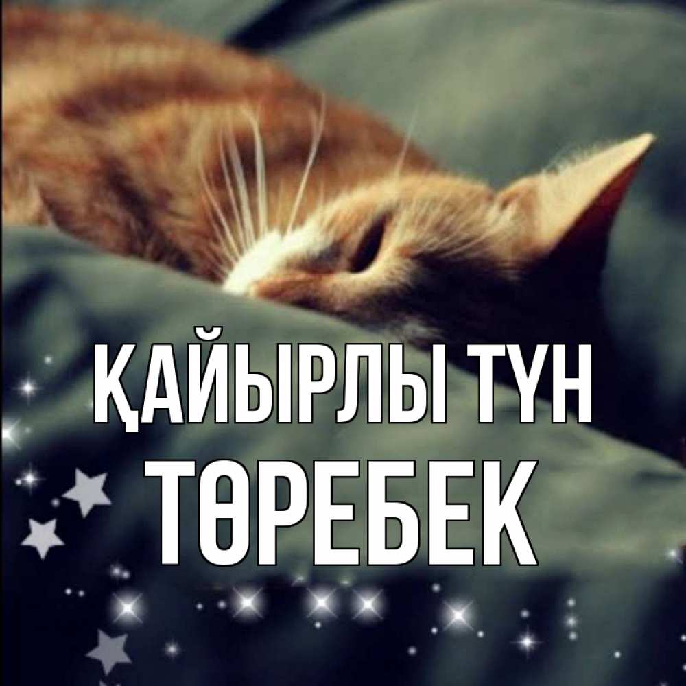 Күн сайын ашық хат с именем, ТӨРЕБЕК Қайырлы түн кроватка Онлайн тегін жүктеп алу тілектері бар керемет карта 