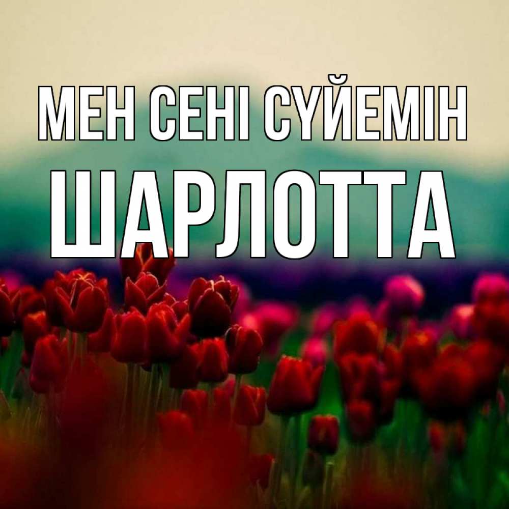 Күн сайын ашық хат с именем, Шарлотта Мен сені сүйемін тюльпаны 4 Онлайн тегін жүктеп алу тілектері бар керемет карта 