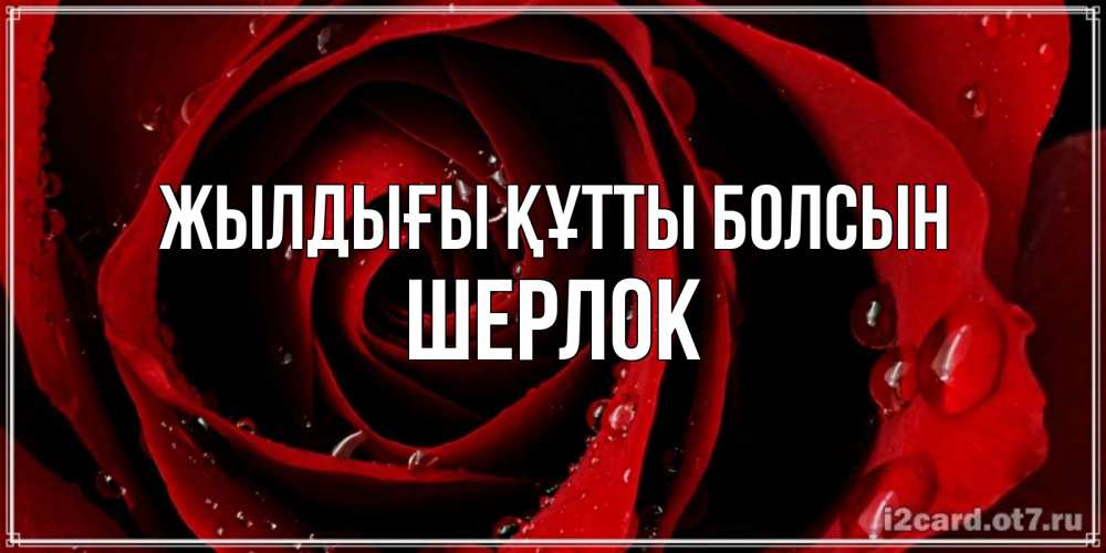 Күн сайын ашық хат с именем, Шерлок Жылдығы құтты болсын крупная бордовая роза Онлайн тегін жүктеп алу тілектері бар керемет карта 