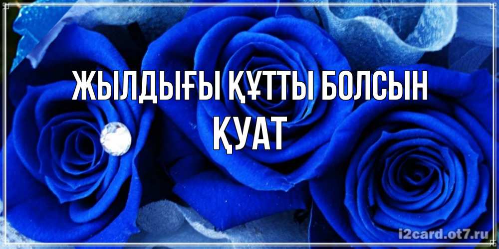 Күн сайын ашық хат с именем, ҚУАТ Жылдығы құтты болсын синие розы в росе Онлайн тегін жүктеп алу тілектері бар керемет карта 